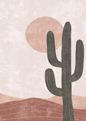 Desert Pink Sun Cactus