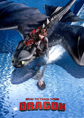 How to Train Your Dragon