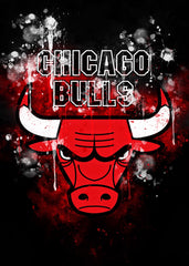 Chicago Bulls Basketball