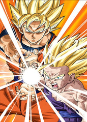 Father-Son Kamehameha Combo, Dragon ball