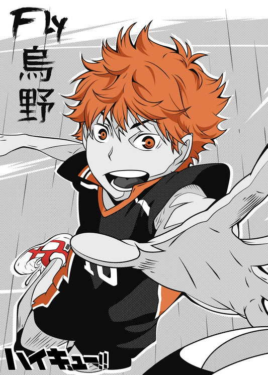 Shoyo Hinata Haikyuu