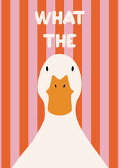 What the duck
