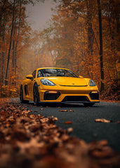 Cayman GT4 Autumn Forest 