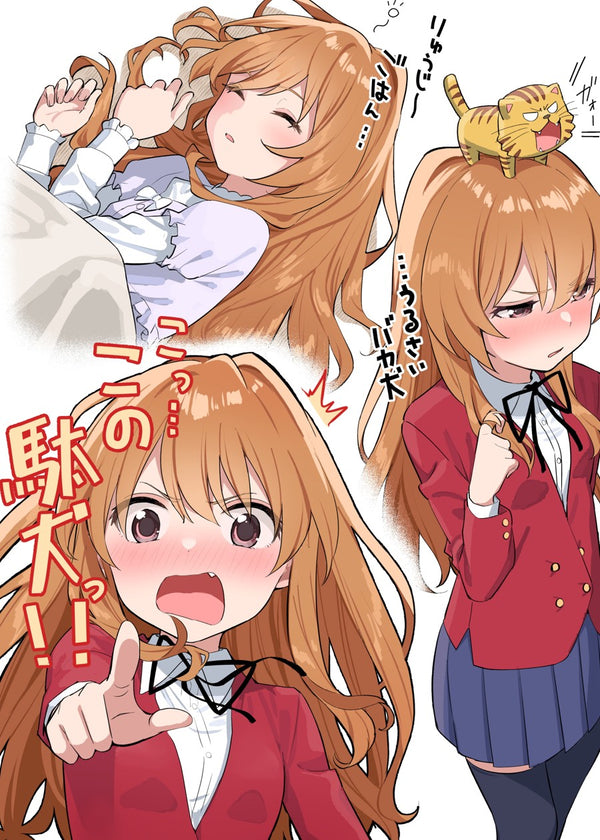 Taiga Aisaka, Toradora