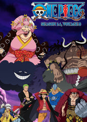 One piece 