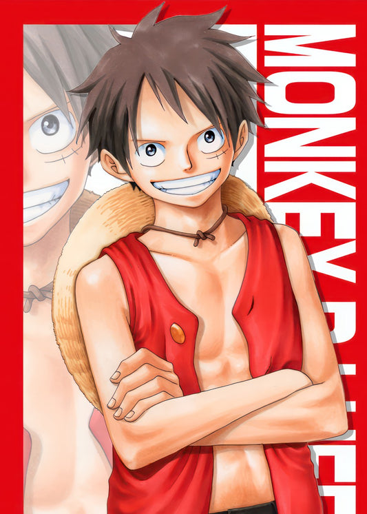 One piece Monkey D. luffy