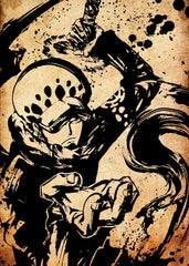 Trafalgar D. Water Law, One Piece