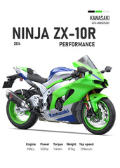 Kawasaki Nunja ZX-10R Perfomac