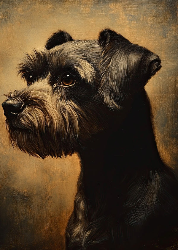 Miniature schnauzer portrait