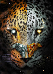Leopard Split