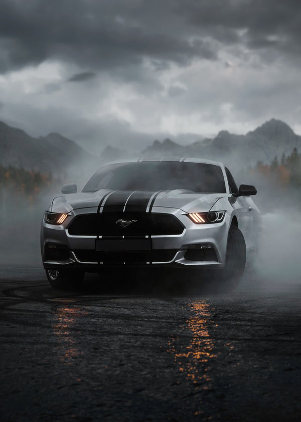 Mustang in the Mountain