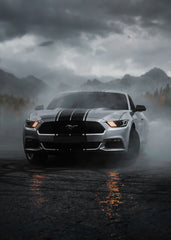 Mustang in the Mountain