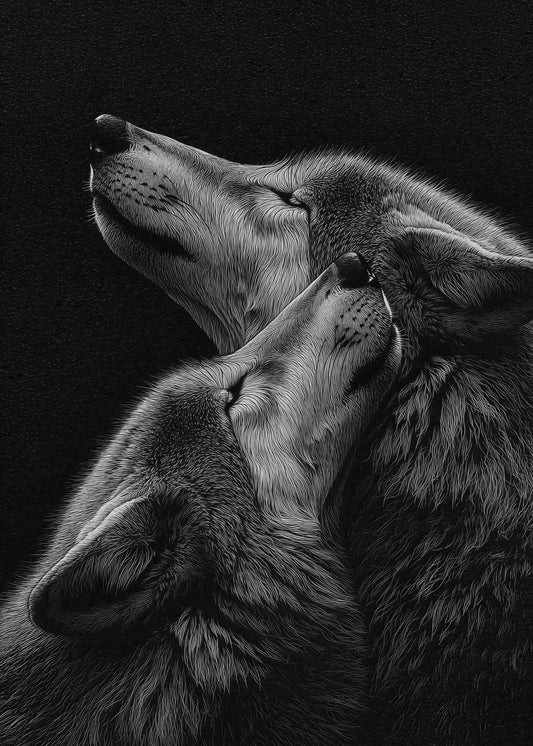 United in the Shadows