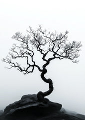 Twisted Black Sentinel