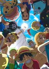 one piece