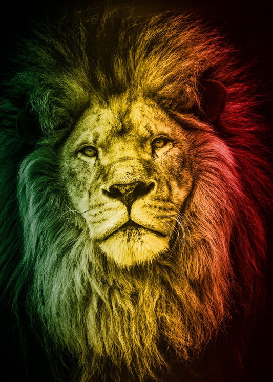 Rasta Lion