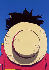 Straw hat pirates, One Piece