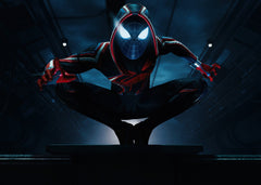 Spider Man