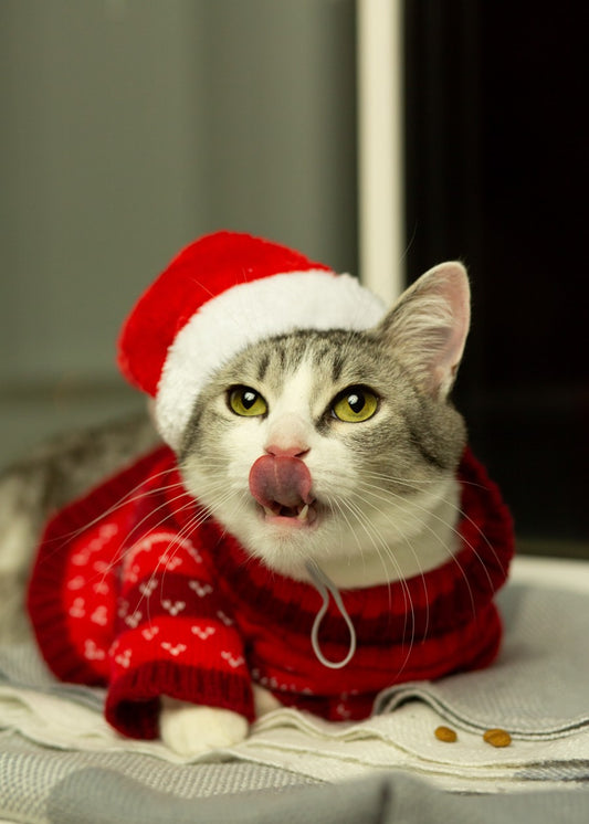 Holiday Hunger Pangs