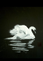 Swan Brushstrokes painting
