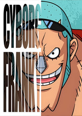 Cyborg Franky, One Piece