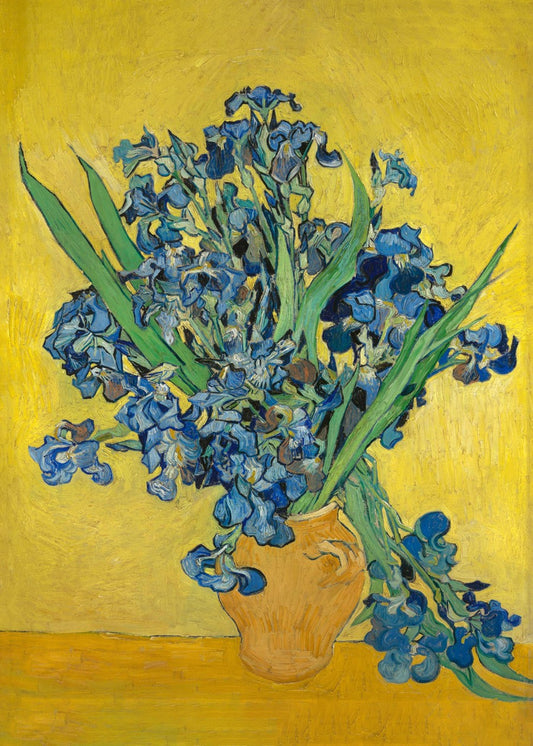 Vincent van Gogh Irises 1890 