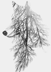Nature's Inner Wolf