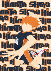 Shoyo Hinata Mid Air Spike