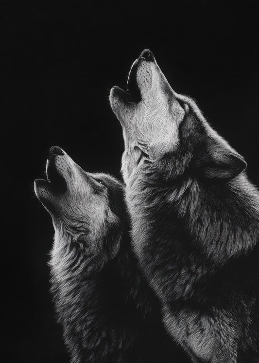 Two Wolves Howling