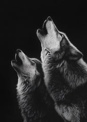 Two Wolves Howling