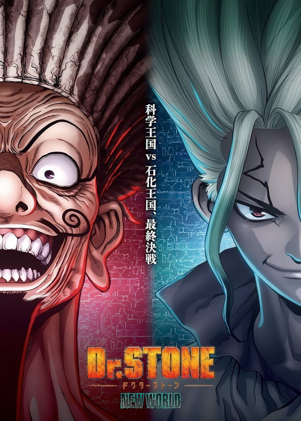 dr stone