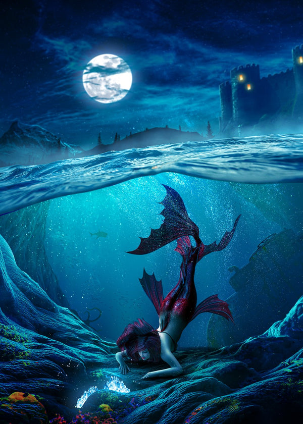 The mermaid and the castle