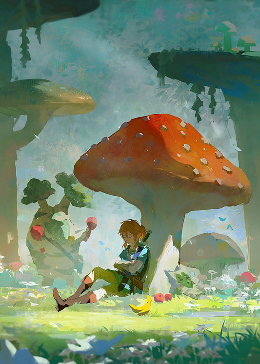 Zelda Hero of Hyrule