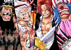 one piece 
