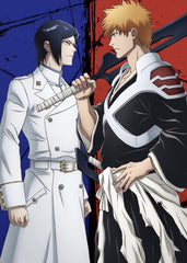 Ichigo Kurosaki vs Uryu Ishida, Bleach 