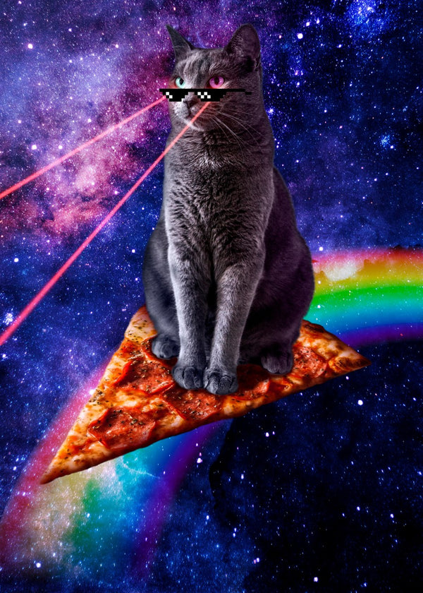 Pizza Cat Is My Co-Pilot