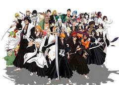 Bleach Soul Reaper's Wrath