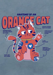 Orange Cat Anatomy