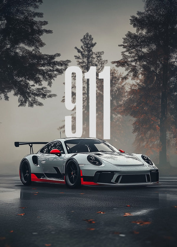 Porsche 911 GT3 RS in the Mist