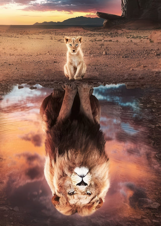 Lion Cub and Reflection