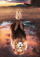 Lion Cub and Reflection