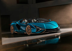 Lamborghini sian roaste