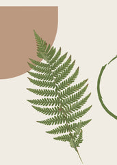 Minimalist Fern Leaf