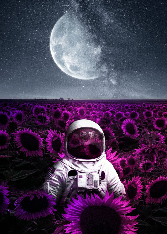 Lunar Sunflowers
