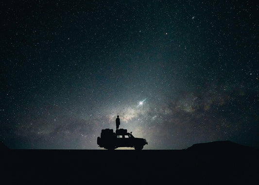 Starry Night's Embrace wild 
