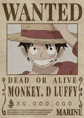One Piece Monkey D Luffy