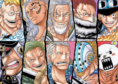 One Piece Collage Top 