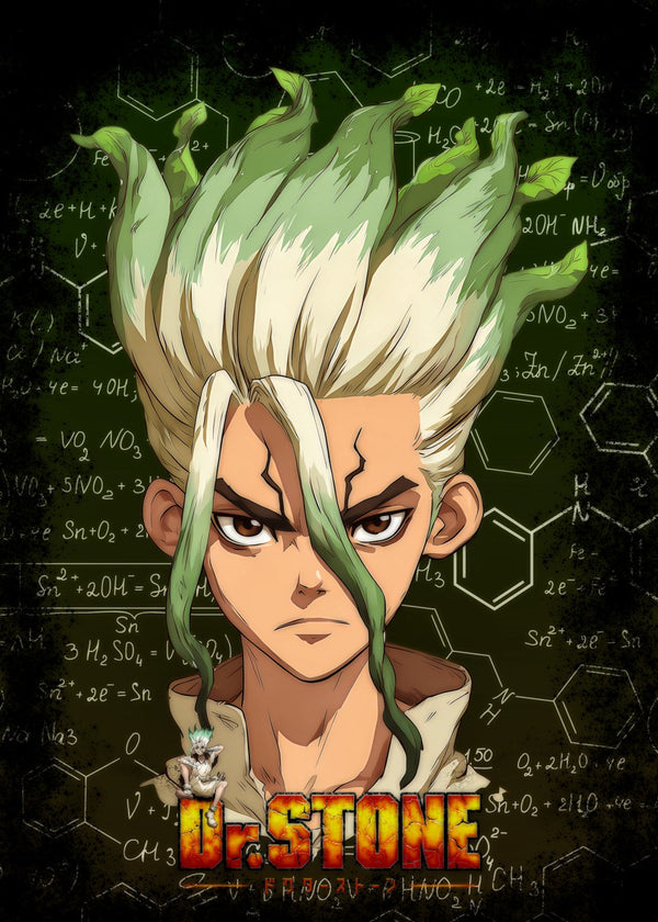 Dr stone senku