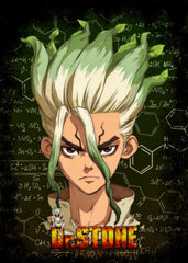 Dr stone senku