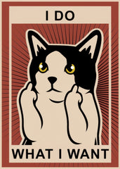 Funny meme cat